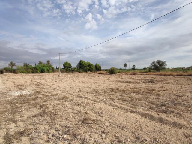 PERLETA, A 6 KM DEL CASCO URBANO DE ELCHE