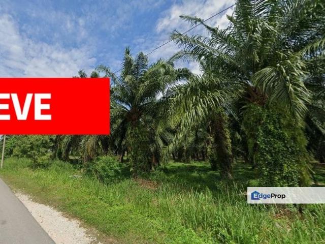 Permatang Tinggi Light Industrial Park