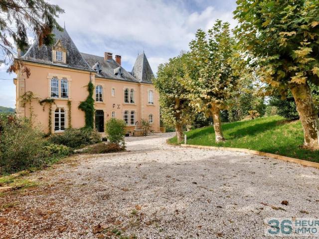 Perpezac le Blanc Vente Propriété/château 19