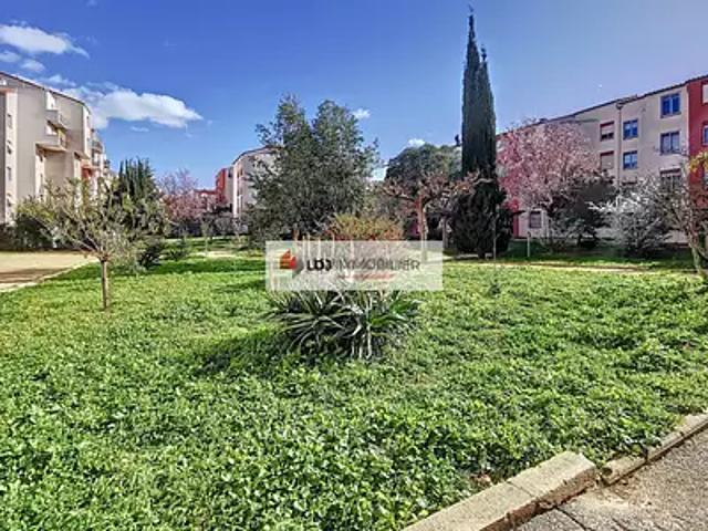 Perpignan 66000 Achat / Vente appartement 3 pièces t3 terrasse
