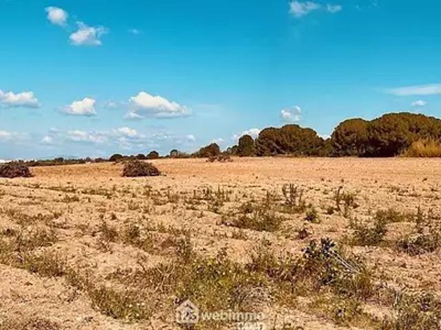 Perpignan 66000 Achat / Vente terrain