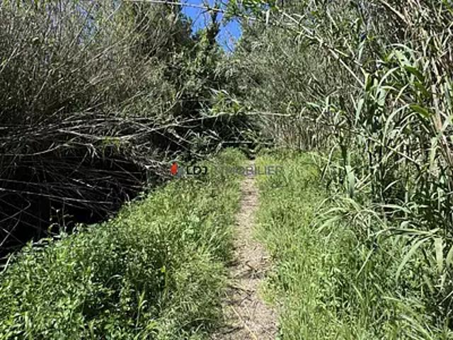 Perpignan 66000 Achat / Vente terrain