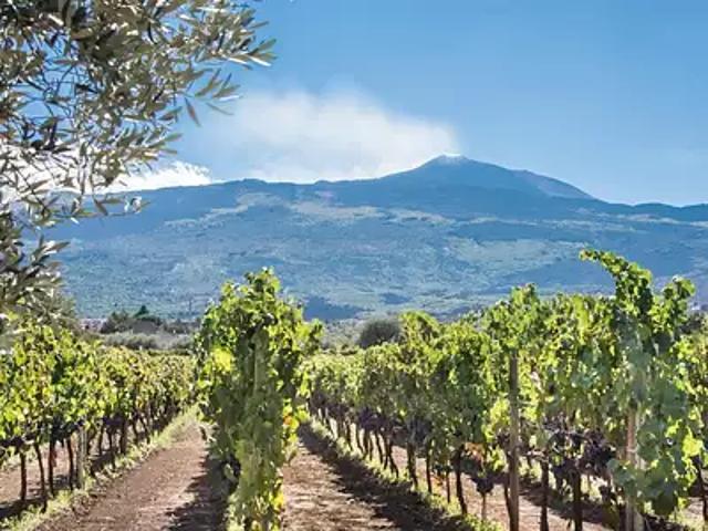 Perpignan 66000 Achat / Vente terrain
