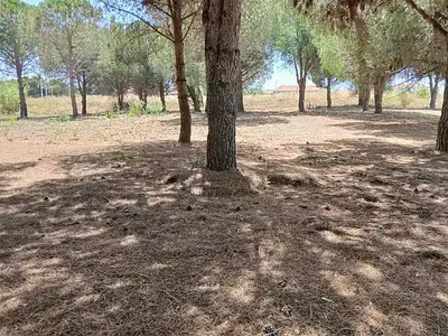 Perpignan 66000 Programme neuf terrain neuf à vendre