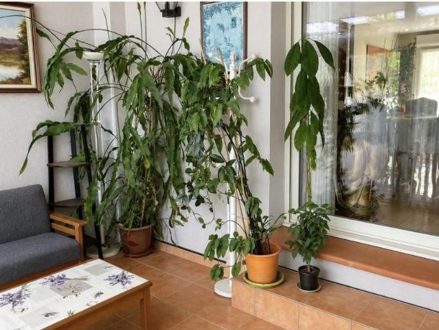 Perpignan Vente Maison 66