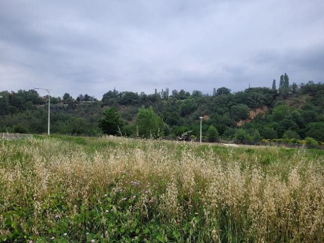 Perpignan Vente Terrain 66