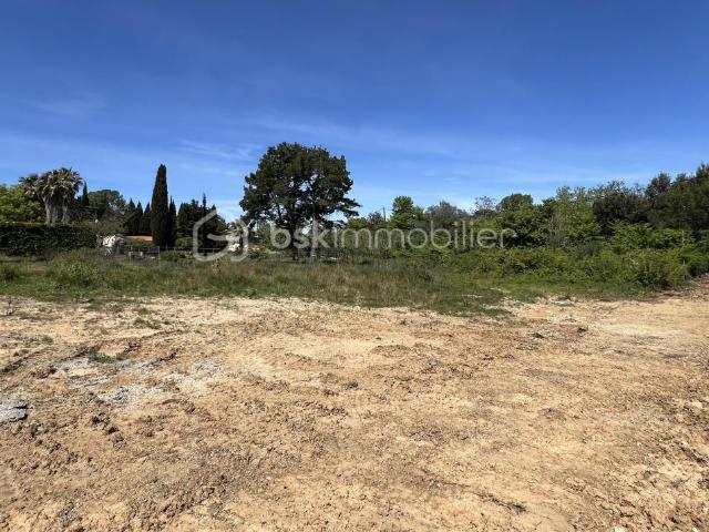 Perpignan Vente Terrain 66