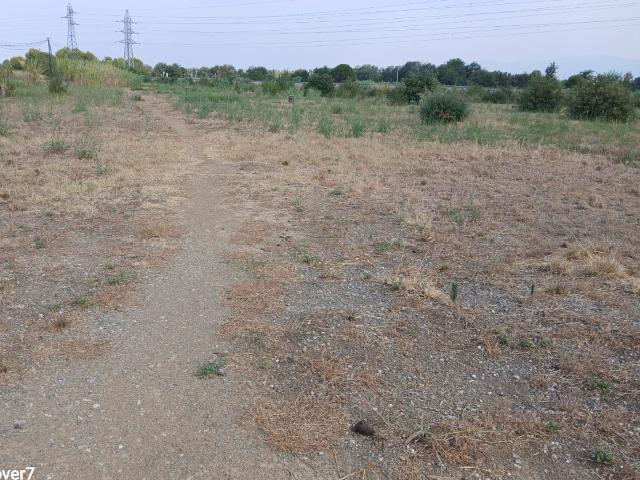 Perpignan Vente Terrain 66