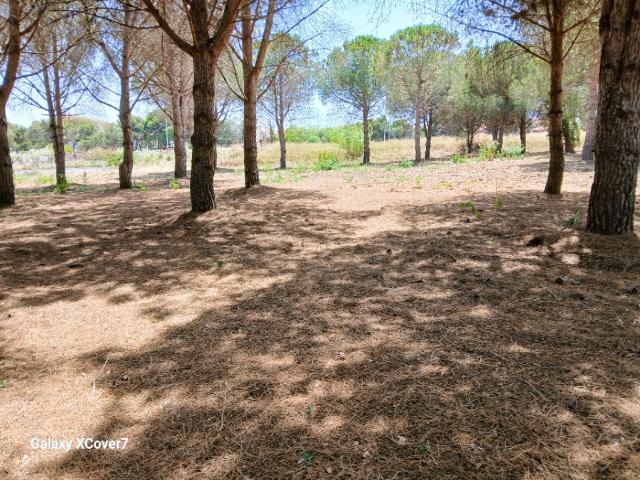 Perpignan Vente Terrain 66