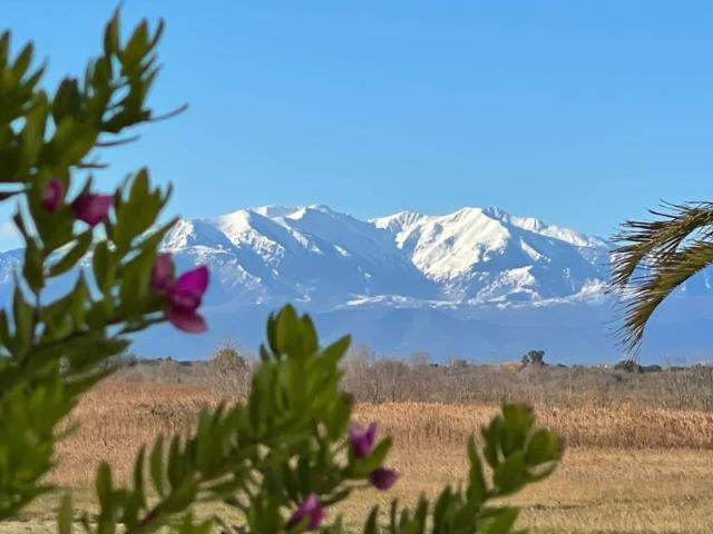 Perpignan Vente Terrain 66