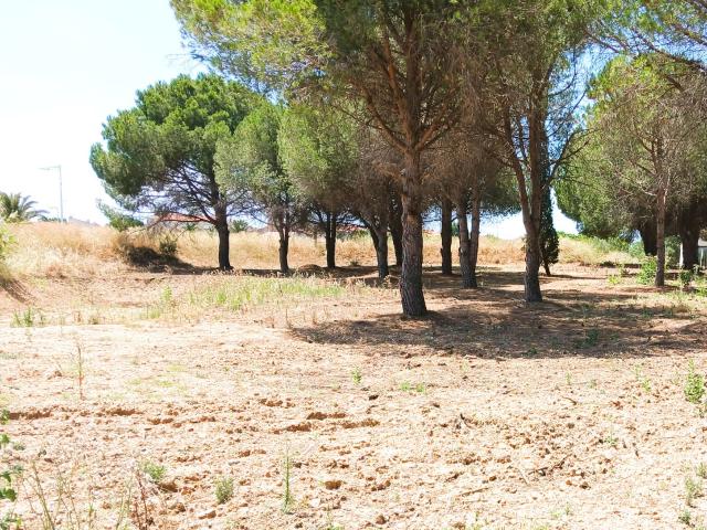Perpignan Vente Terrain 66
