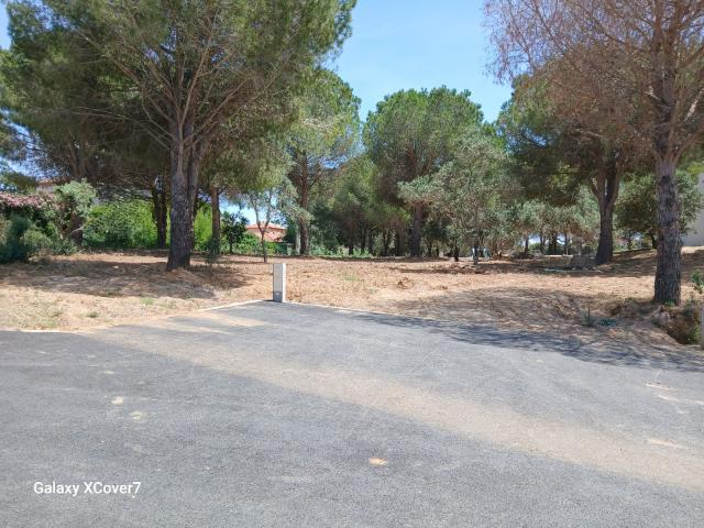 Perpignan Vente Terrain 66