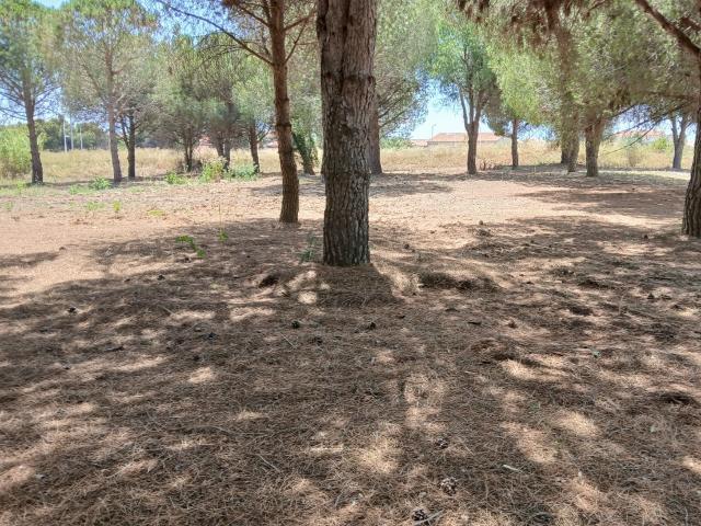 Perpignan Vente Terrain 66