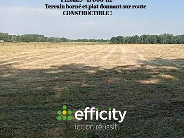 Pesmes 70140 Achat / Vente terrain