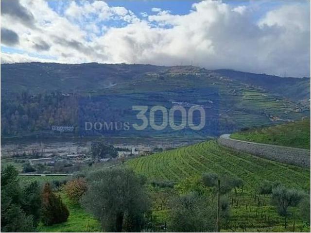 Peso da Régua Peso da Régua 101390451