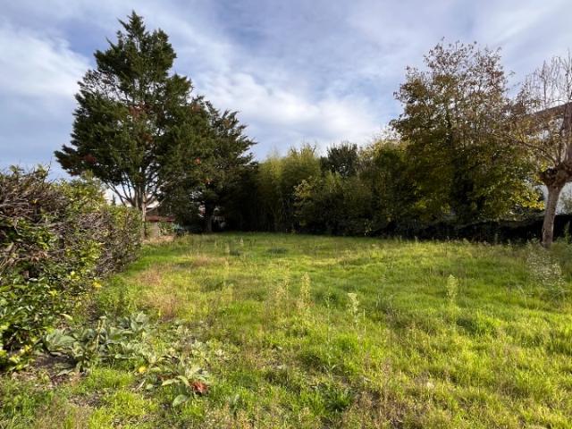 Pessac Vente Terrain 33