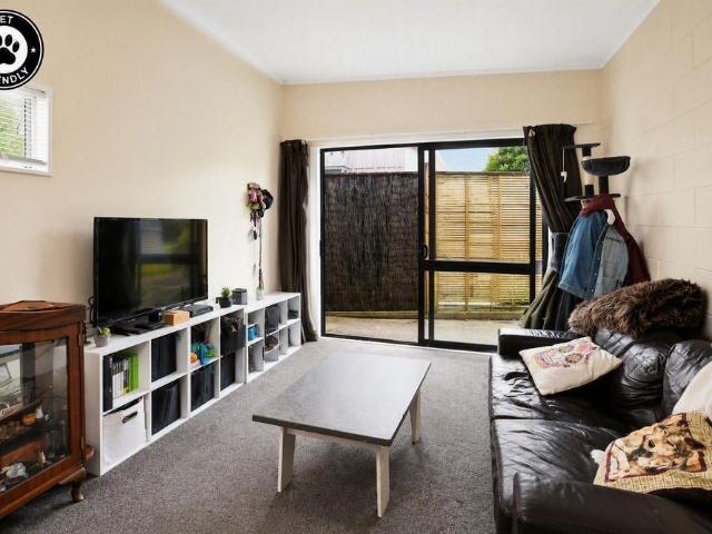Pet Friendly Fully Fenced Garden!