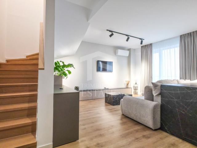 pet friendly | duplex | 13 septembrie | sebastian | vulcan progresului