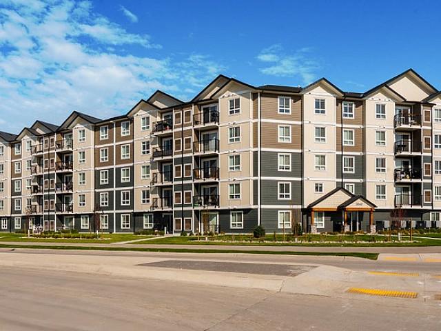 Pet friendly One Bedroom One Bath With In suite Laundry For Rent
