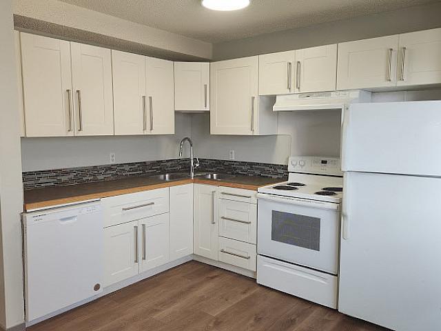 Pet Friendly Open House Today 2 To 4 Pm