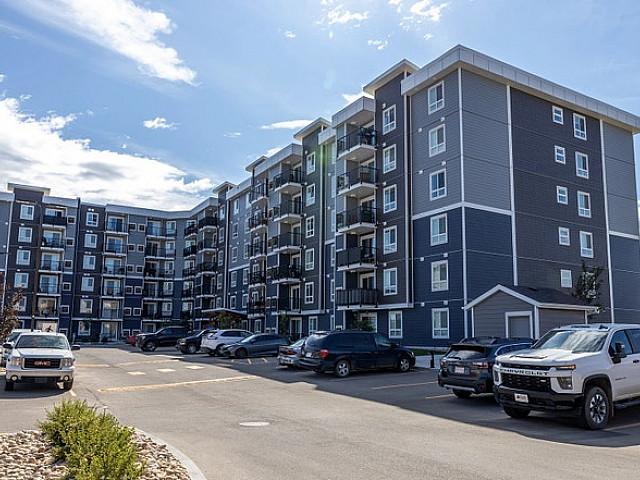 Pet friendly Two Bedroom One Bath With In suite Laundry For Rent