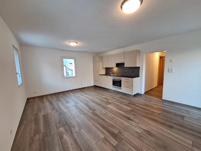 PETIT APPARTEMENT 3PCES AVEC TERRASSE