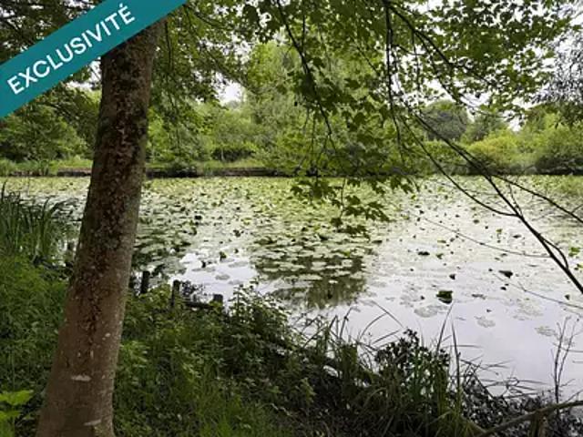 Petit Auverné 44670 Achat / Vente terrain