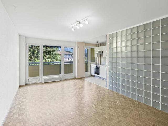 Petit bijou rénové à Corsier, balcon ensoleillé et cadre paisible