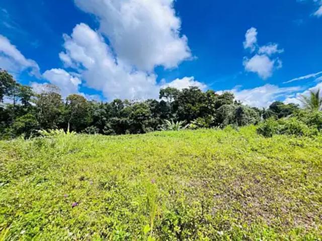 Petit Bourg 97170 Achat / Vente terrain
