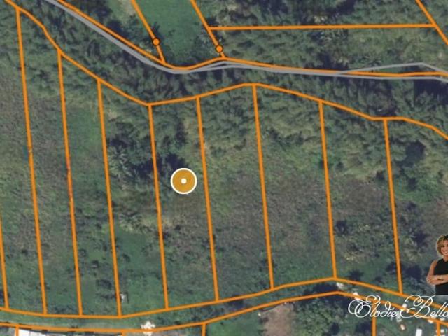 Petit Bourg Vente Terrain 97