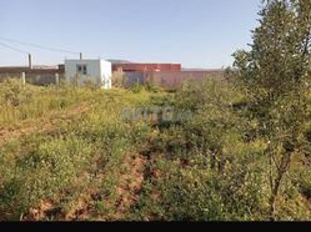 Petite ferme à vendre