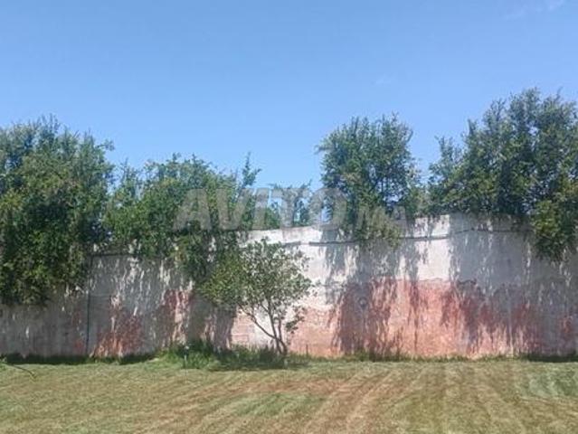 Petite Ferme à vendre 6500m² à temara