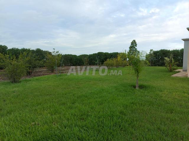Petite Ferme à vendre BERRECHID