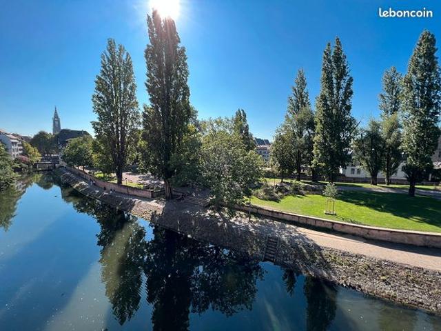 Petite France charmant duplex 2 pièces de 41.10m² hab. Et 76.50m² au sol