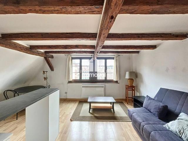 PETITE FRANCE STUDIO MEUBLE 21.14 M²