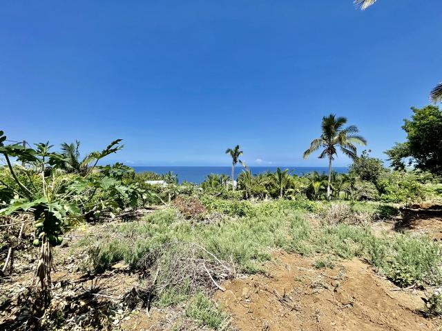 Petite Île Vente Terrain 97