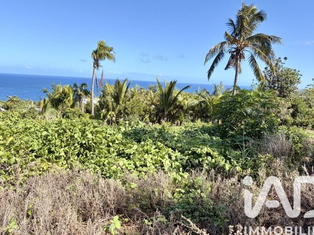 Petite Île Vente Terrain 97