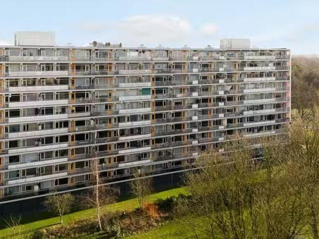 Petmolen 57 Amsterdam