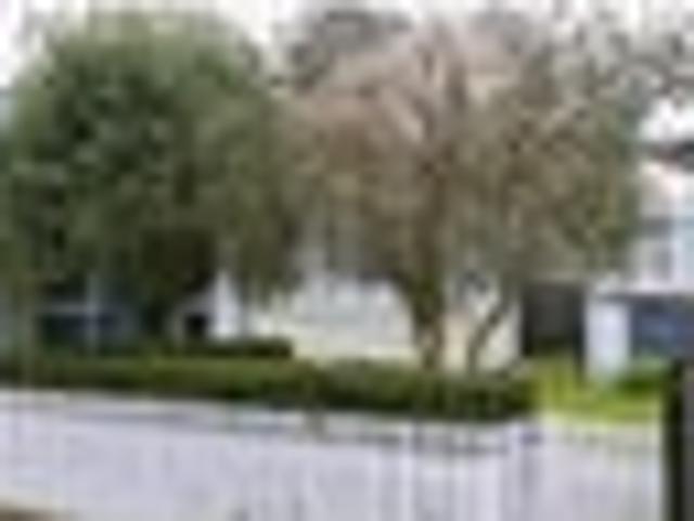 Petone, 3 bedrooms, $800 pw