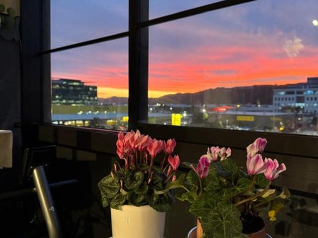 petone, 1 bedroom