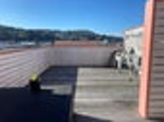 Petone, 2 bedrooms, $560 pw