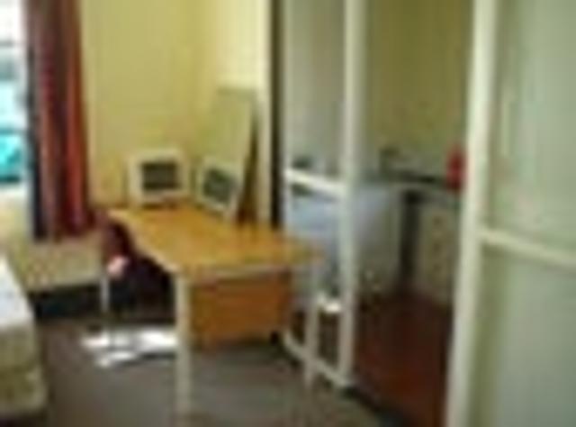 Petone, Studio, $395 pw