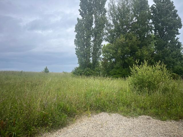 Peujard Vente Terrain 33