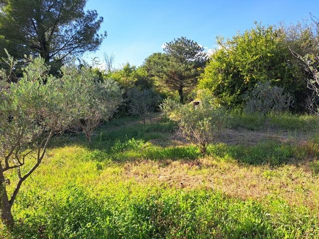 Peynier Vente Terrain 13