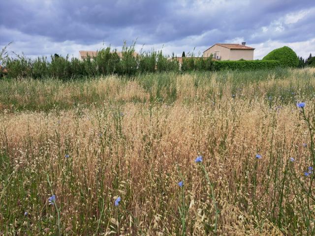 Peynier Vente Terrain 13