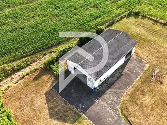 Peyrehorade 40300 Achat / Vente divers