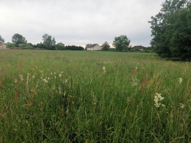 Peyrignac Vente Terrain 24