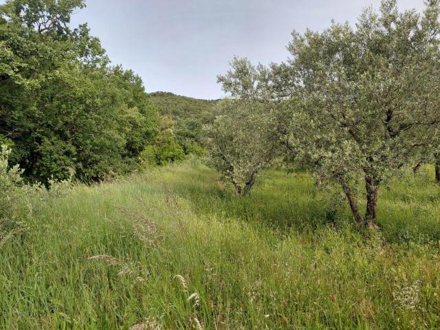 Peyruis Vente Terrain 04