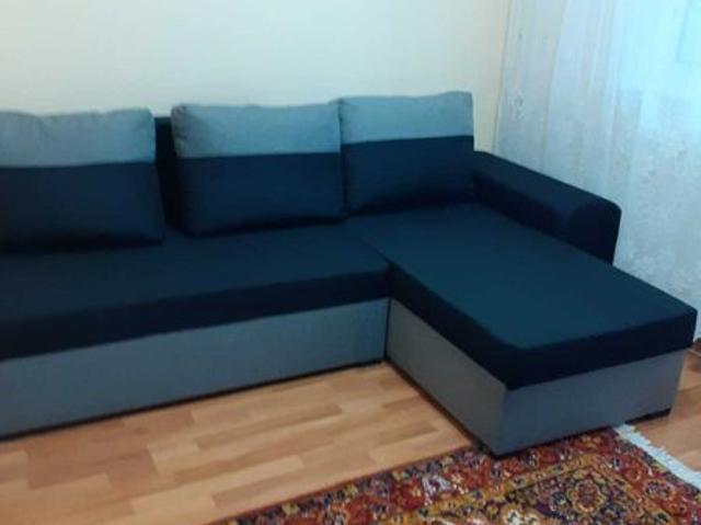 PF dau in chirie ap 2 camere str. Gr. Alex