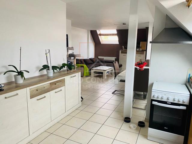 Pfaffenhoffen Location Appartement 67